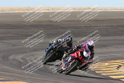 media/Mar-09-2024-SoCal Trackdays (Sat) [[bef1deb9bf]]/1-Bowl Exit (940am)/
